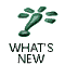 [News]